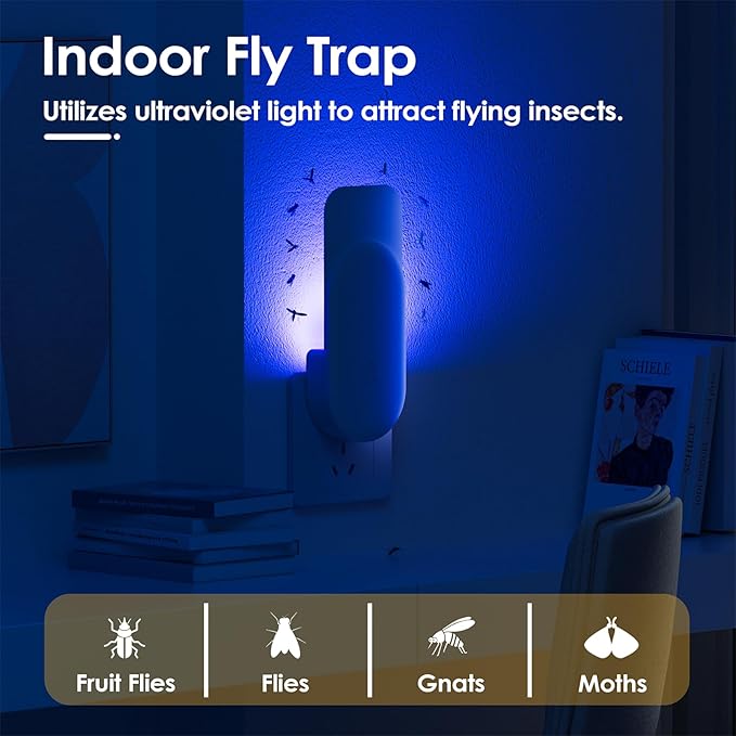 Indoor Insect Trap with 6 Glue Cards 2-in-1