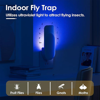 Indoor Insect Trap with 6 Glue Cards 2-in-1